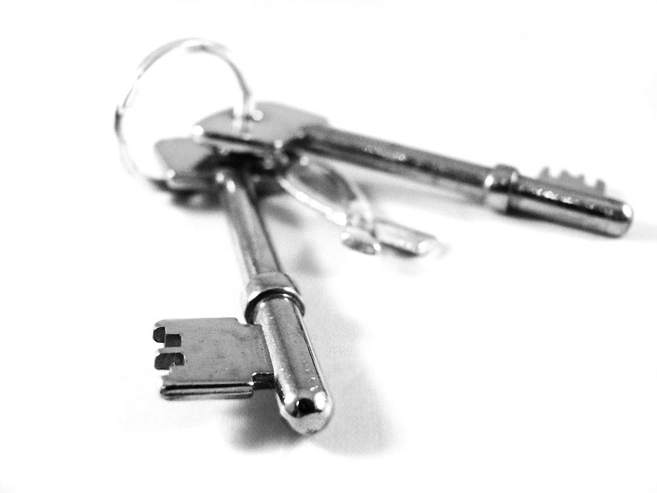 Unlock-Security-Keys-Secure-Home-Silver-Lock-15203.jpg (59 KB)
